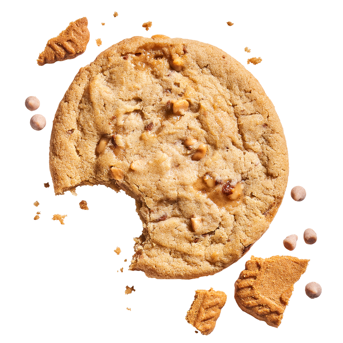 Speculoos Cookie Cake